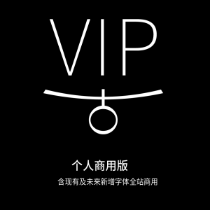 个人版VIP会员
