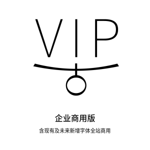 企业版VIP会员